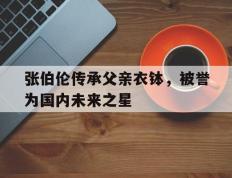 张伯伦传承父亲衣钵，被誉为国内未来之星